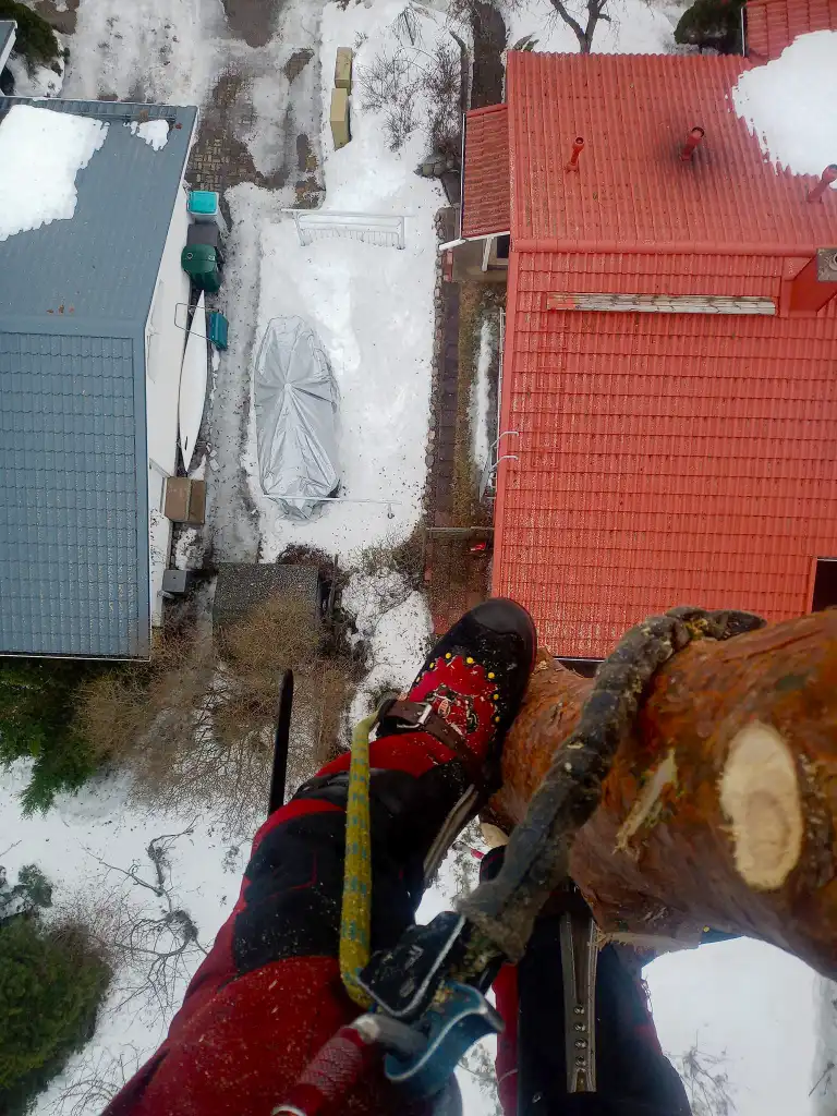 jussinpuujapiha-fi-pysty-10