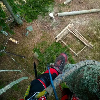 jussinpuujapiha-fi-pysty-08