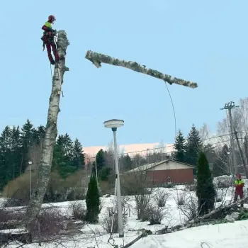 jussinpuujapiha-fi-pysty-09