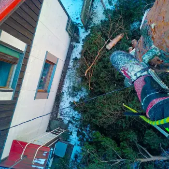 jussinpuujapiha-fi-vaaka-17